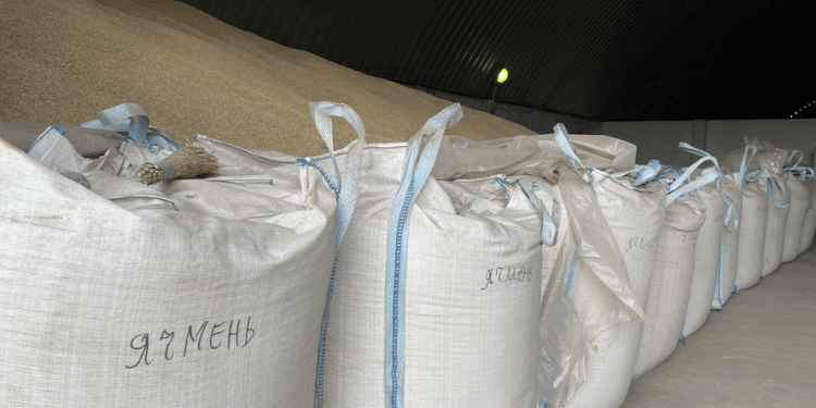 Kazakhstan Barley Prices Soar: Strong Demand from China and Iran Drives Market