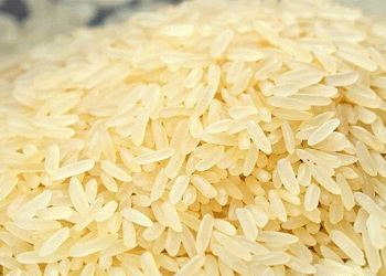 Rice Glut in Krasnodar: Falling Prices, Export Challenges, and the Future of Russia’s Rice Industry