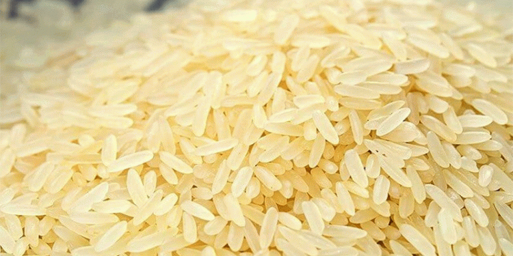 Rice Glut in Krasnodar: Falling Prices, Export Challenges, and the Future of Russia’s Rice Industry