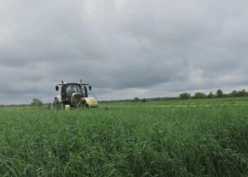 Contaminated Barley Shipments Raise Alarm: Pesticide Risks in Animal Feed Demand Stricter Controls