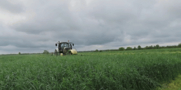 Contaminated Barley Shipments Raise Alarm: Pesticide Risks in Animal Feed Demand Stricter Controls