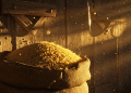 U.S. Rice Production Declines in 2025-26: How India and Global Markets Could Benefit