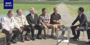 Balancing Rice Prices: Challenges and Solutions for Farmers and Consumers