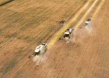 Smart Harvest: How Xinjiang is Leading the Way in Efficient and Sustainable Wheat Mechanization