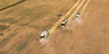 Smart Harvest: How Xinjiang is Leading the Way in Efficient and Sustainable Wheat Mechanization