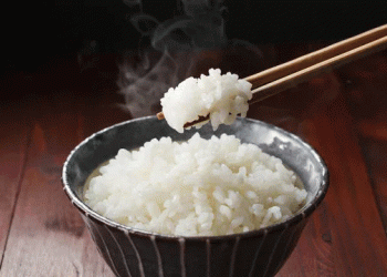 The Silent Crisis in Japan’s Rice Fields: Climate, Imports, and the Fight for Food Sovereignty”