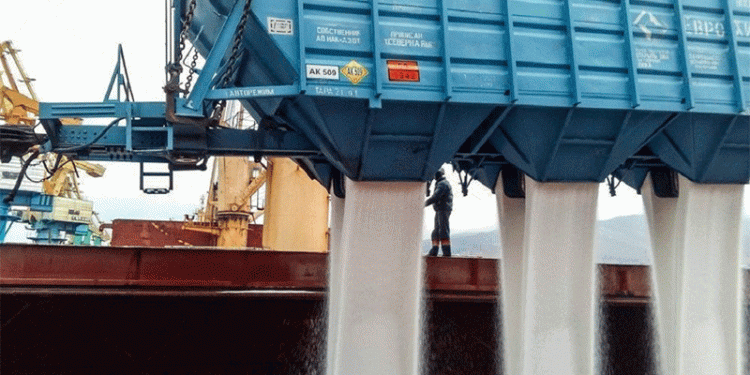 Europe’s Wheat Exports at Risk: How Fertilizer Tariffs Could Turn the EU into a Net Importer