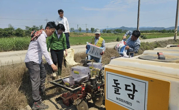 Cheongja No. 5’ Black Soybean: A High-Profit Crop Revolutionizing Paddy Field Diversification