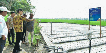 Healthy Rice Productivity Soars to 10 Tons per Hectare in Lamongan: A Model for Sustainable Farming Success