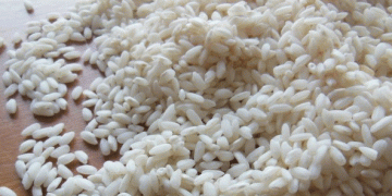 Russia’s Rice Export Strategy: Balancing Domestic Needs and Global Opportunities