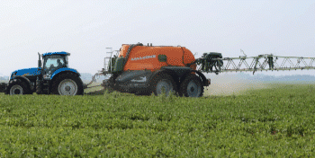 Soybeans Over Barley: How Weather and Market Trends Are Reshaping Amur Region’s Crop Plans