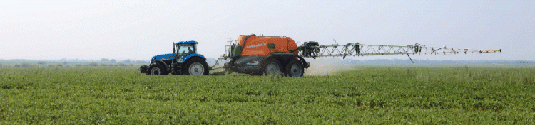 Soybeans Over Barley: How Weather and Market Trends Are Reshaping Amur Region’s Crop Plans