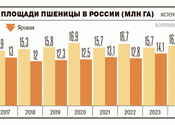 Wheat Acreage Hits Decade Low: What It Means for Farmers and Global Markets