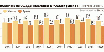 Wheat Acreage Hits Decade Low: What It Means for Farmers and Global Markets