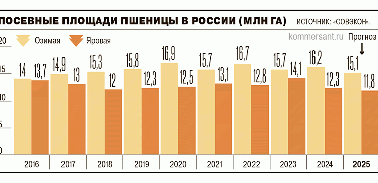 Wheat Acreage Hits Decade Low: What It Means for Farmers and Global Markets