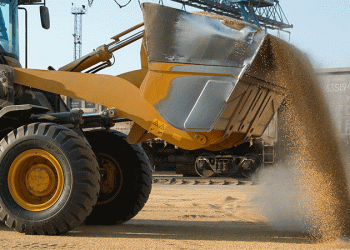 Russia’s 2025 Grain Harvest Forecast: Can 135 Million Tons Be Achieved Amid Weather Challenges?