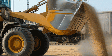 Russia’s 2025 Grain Harvest Forecast: Can 135 Million Tons Be Achieved Amid Weather Challenges?