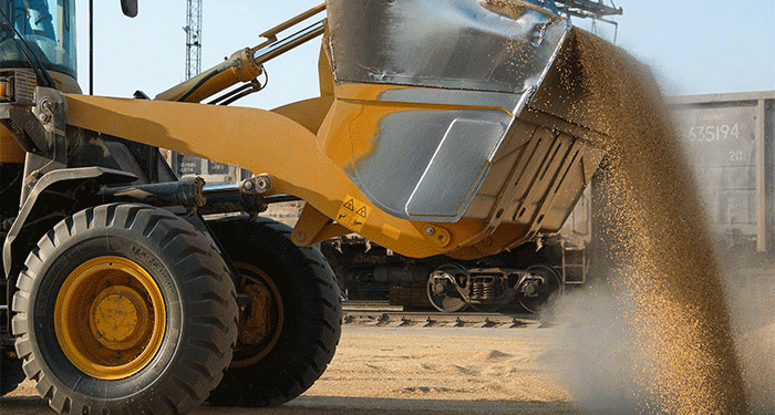 Russia’s 2025 Grain Harvest Forecast: Can 135 Million Tons Be Achieved Amid Weather Challenges?