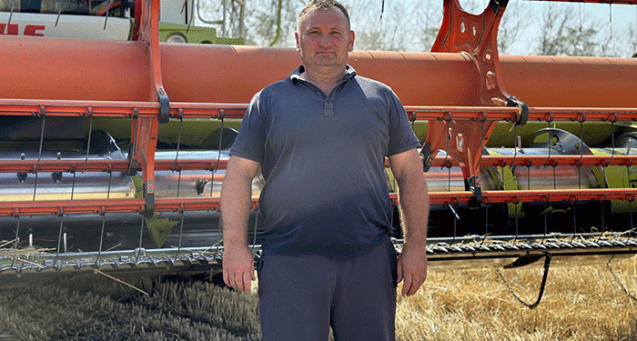 Record Wheat Yields: How Leading Farms Achieve Over 57 Centners per Hectare