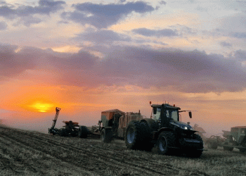 Spring Sowing in Altai Krai: Progress, Challenges, and Key Insights for 2024