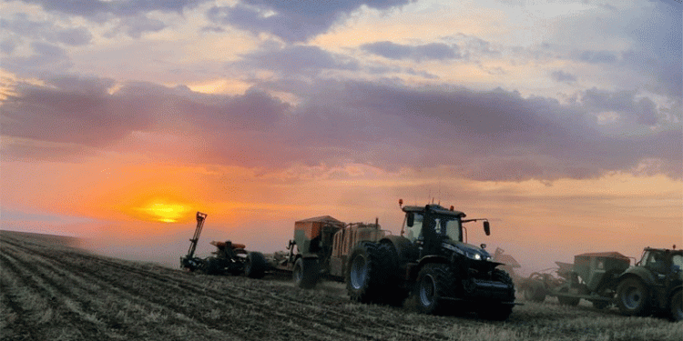 Spring Sowing in Altai Krai: Progress, Challenges, and Key Insights for 2024