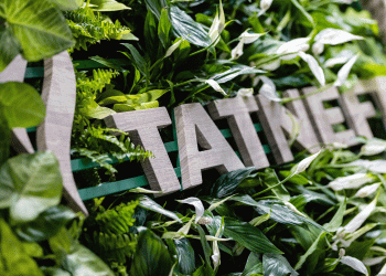 From Wheat to Wealth: How Deep Grain Processing is Revolutionizing Agriculture and Industry