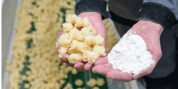 Why Grain Deep Processing Projects Struggle in Southern Russia: High Costs, Long Timelines, and Complexity