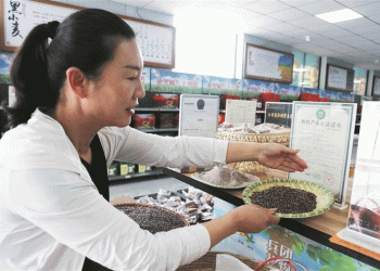 Black Wheat: The Rising Star of Sustainable Agriculture and Rural Prosperity