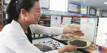 Black Wheat: The Rising Star of Sustainable Agriculture and Rural Prosperity