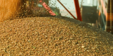 Russia’s Wheat Exports Plummet: Key Trends, Market Shifts, and What Lies Ahead