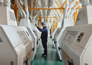 Sustainable Agriculture Innovations in Inner Mongolia: Boosting Yields and Farmer Incomes