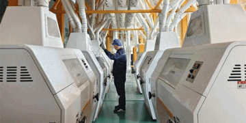 Sustainable Agriculture Innovations in Inner Mongolia: Boosting Yields and Farmer Incomes