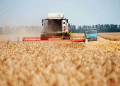 Krasnodar Harvests Over 1 Million Tons of Grain: Key Insights for the 2024 Season