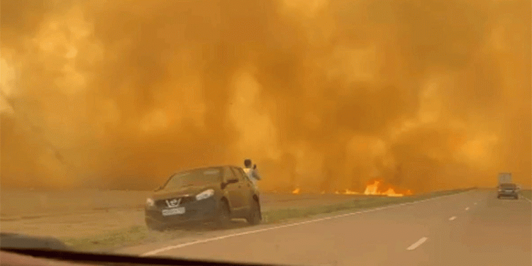 Wheat Fields in Flames: Wildfires Threaten Crops and Livelihoods in Russia’s Rostov Region – What Farmers Need to Know