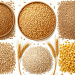 Russia’s Grain Production Decline in 2025: Causes, Impacts, and Solutions for the Agricultural Sector