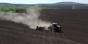 Shifting Trends in Kazakh Agriculture: Wheat Declines as Farmers Diversify Crops