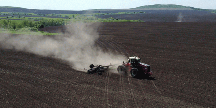 Shifting Trends in Kazakh Agriculture: Wheat Declines as Farmers Diversify Crops