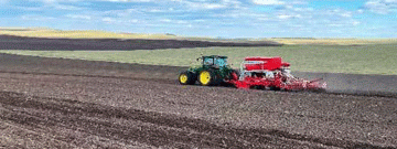 Montane Oats: Pioneering Natural Farming for a Healthier Future