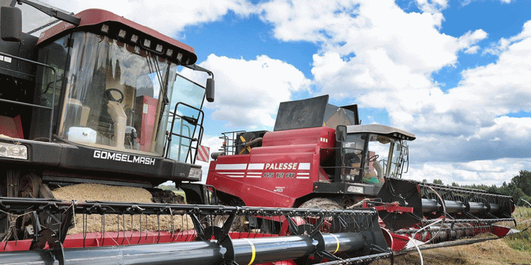 Belarus Harvest 2025: Regional Contributions and Progress Toward Grain and Forage Targets