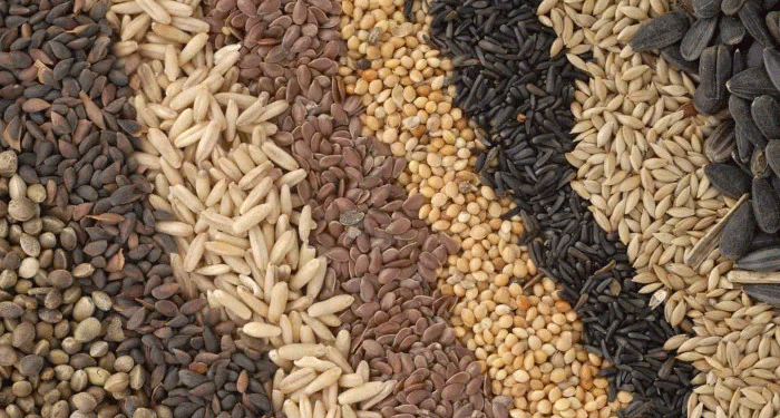 Record Harvests and Strategic Planting: How Tatarstan is Achieving Agricultural Excellence