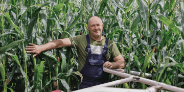 Brest Region’s Digital Corn Revolution: How 30,000 Extra Hectares and Data-Driven Harvesting Are Boosting Milk Yields