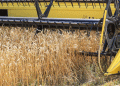 Port Crisis: How Russia’s Grain Export Collapse is Reshaping Terminal Economics