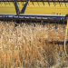 Port Crisis: How Russia’s Grain Export Collapse is Reshaping Terminal Economics