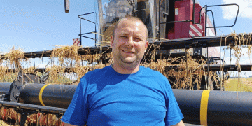 Oats Harvest in Brodec: Weather Challenges, Passionate Workers, and the Race Against Time