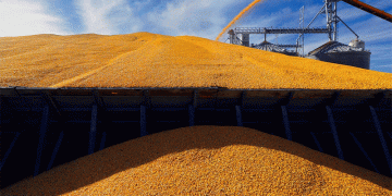 Navigating the Grain Export Bottleneck: A Cost-Benefit Analysis of Russia’s Domestic Fleet Ambitions