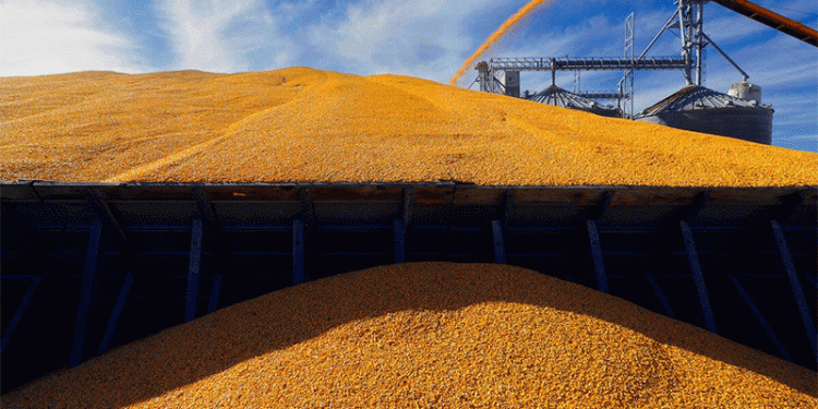 Navigating the Grain Export Bottleneck: A Cost-Benefit Analysis of Russia’s Domestic Fleet Ambitions