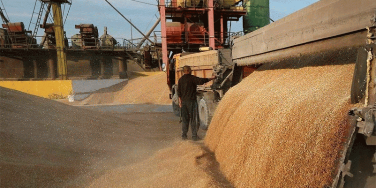 Vanishing Grain: Why Bashkir Farmers Are Losing Millions in Export Revenue – and How They Can Adapt