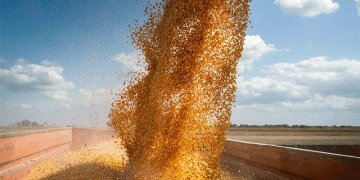 Siberian Grain Goes Global: Expanding Exports to Latin America and Africa