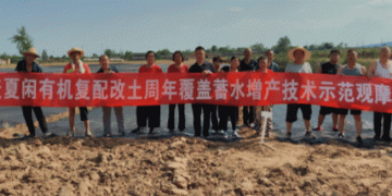 Shanxi’s Wheat Revolution: How Organic Fertilizers and Sunshade Covers Boost Yields by 50% in Arid Lands