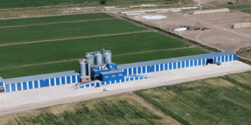 Kazakhstan’s Grain Industry Faces Crisis as Rail Tariffs Set to Triple by 2026